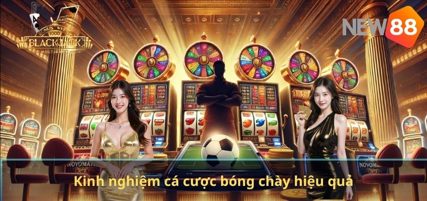 Cá Độ Bóng Chày – Kinh Nghiệm Cược Hiệu Quả Dành Cho Người Chơi Tại NEW88 Kinh nghiệm cá cược bóng chày hiệu quả
